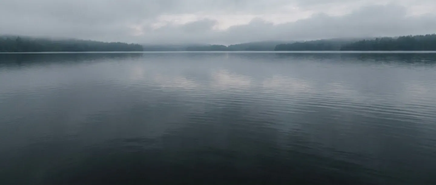 Tyyni järvenpinta ja sumuinen metsänreuna.
